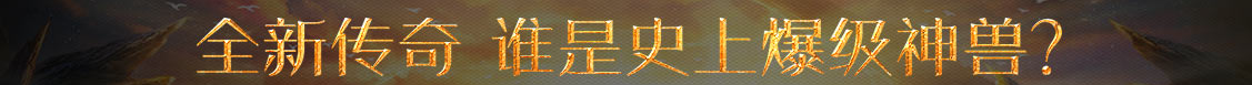 数字站基金分析